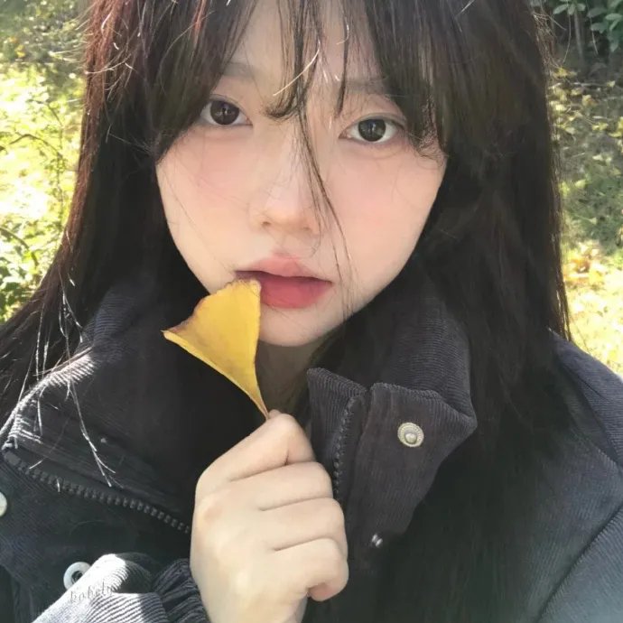 白桦林中的哨所